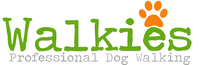 Walkies North Devon Professional Dog Walking